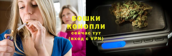 винт Майский