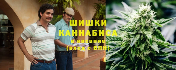 винт Майский