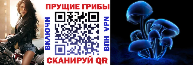 где купить наркотик  Хотьково  Галлюциногенные грибы мухоморы 